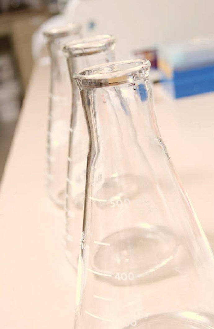 genetics of psoriasis.jpg