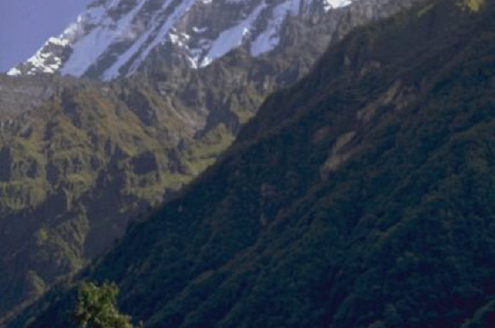 Janines Himalayan Trek For Psoriasis And Psoriatic Arthritis Research