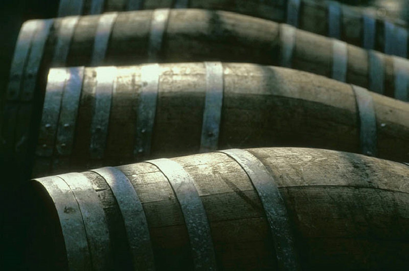 Grapes And Wine 34
