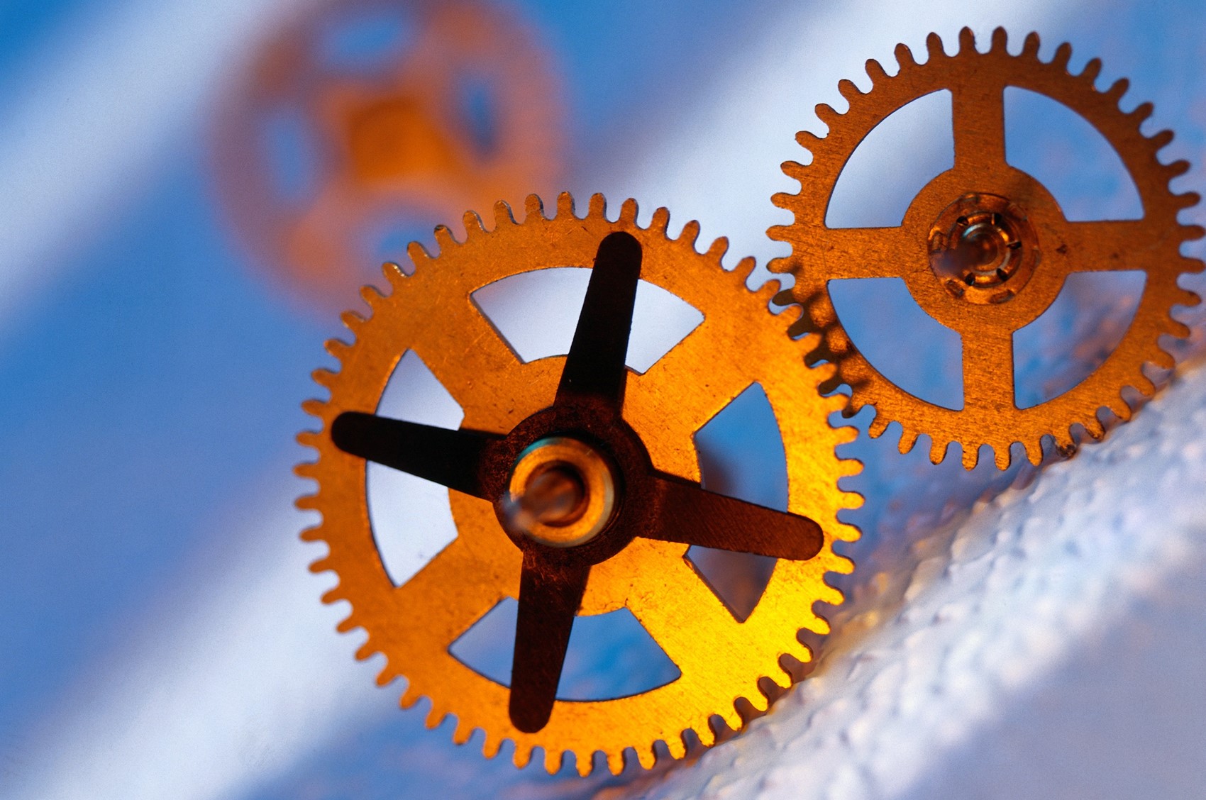 Cog partners.jpg
