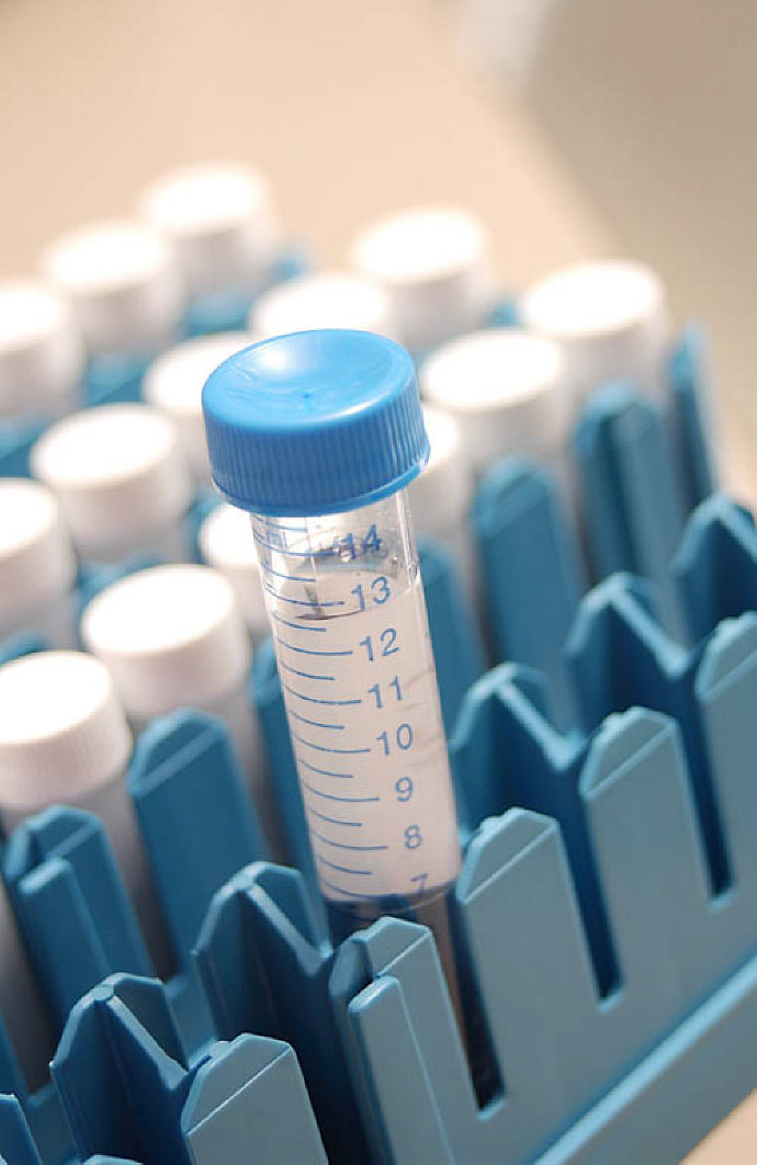 Liquid in blue test tubes.jpg