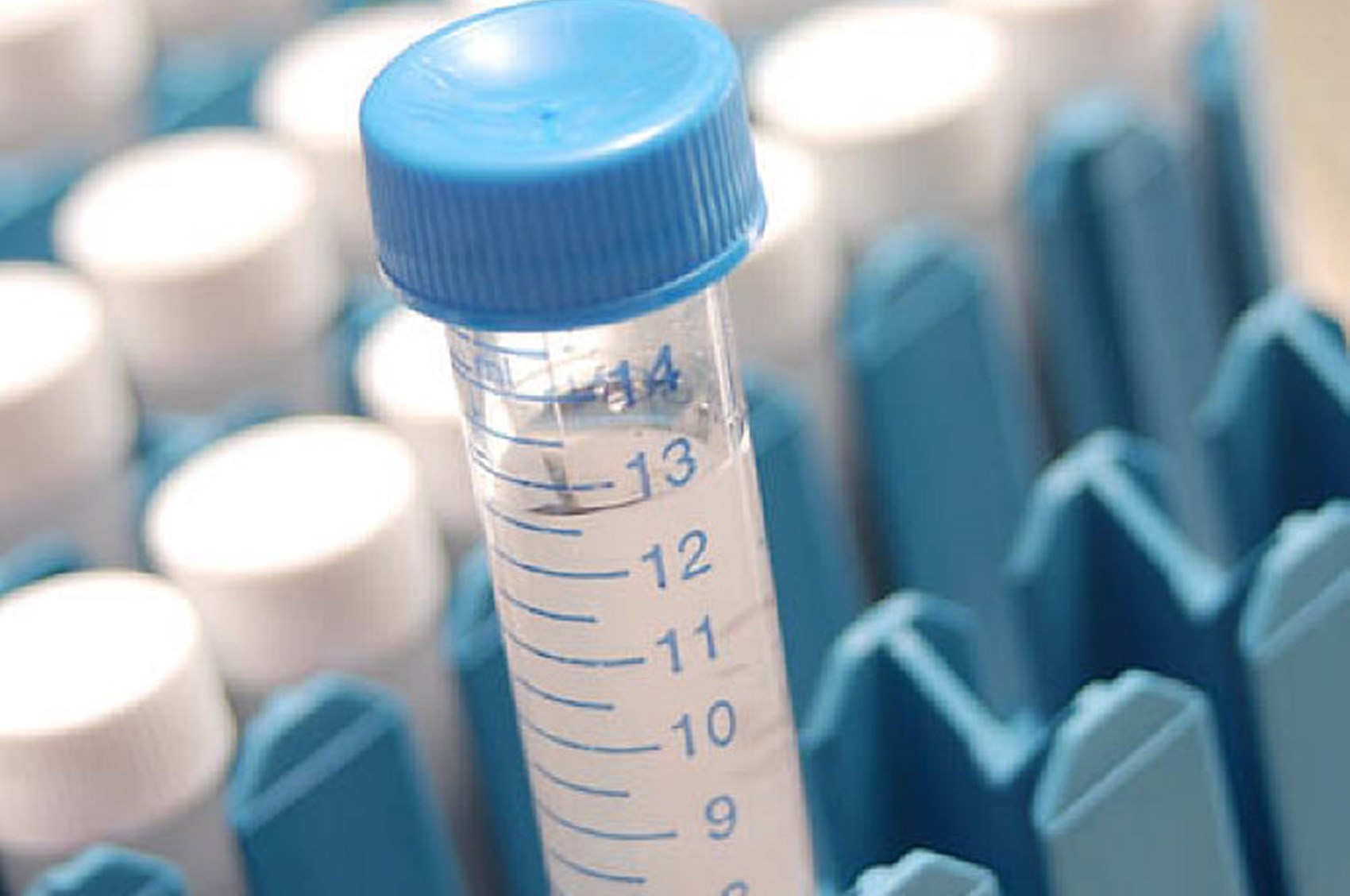 Liquid in blue test tubes.jpg