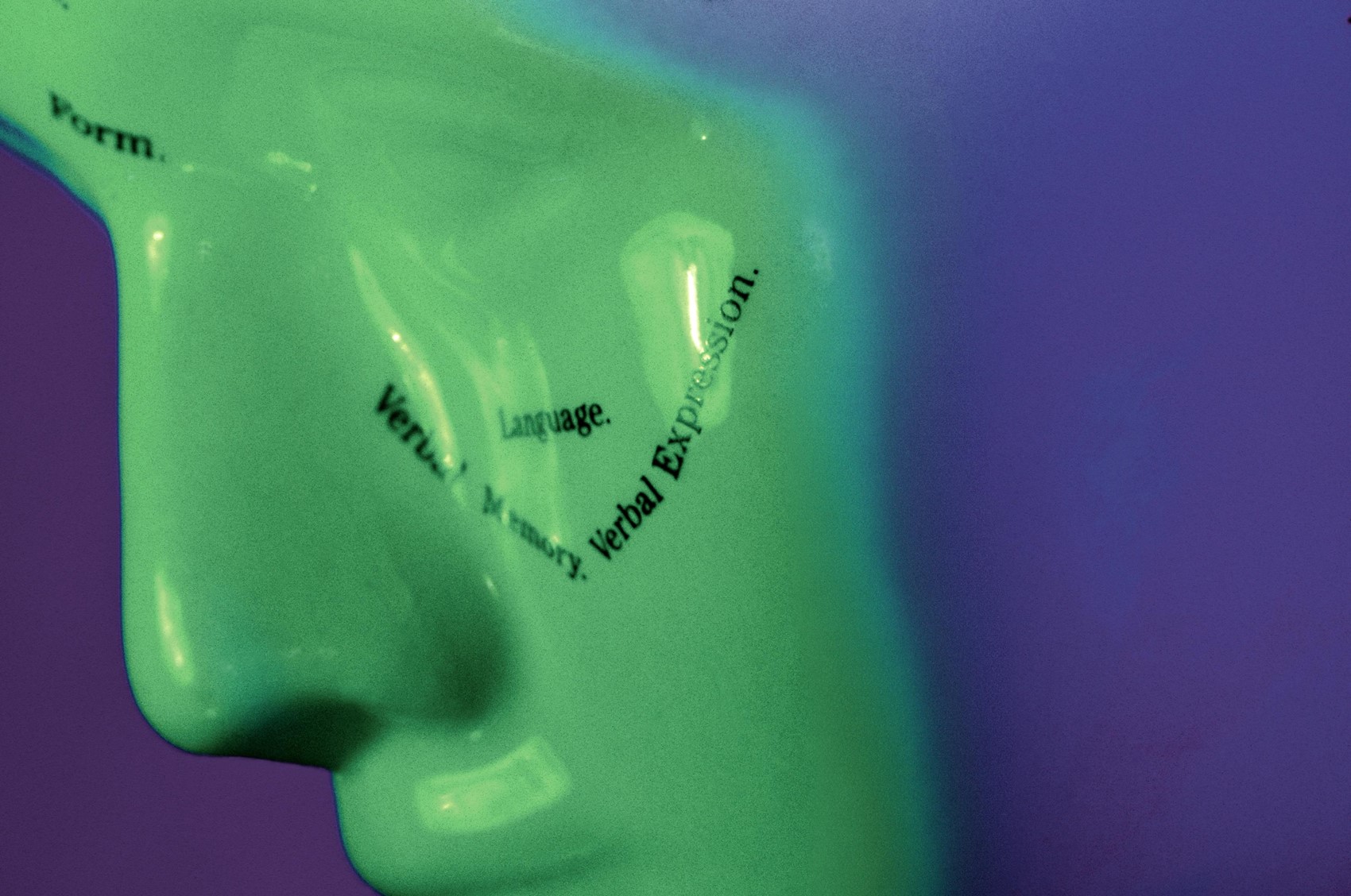 Mind Study