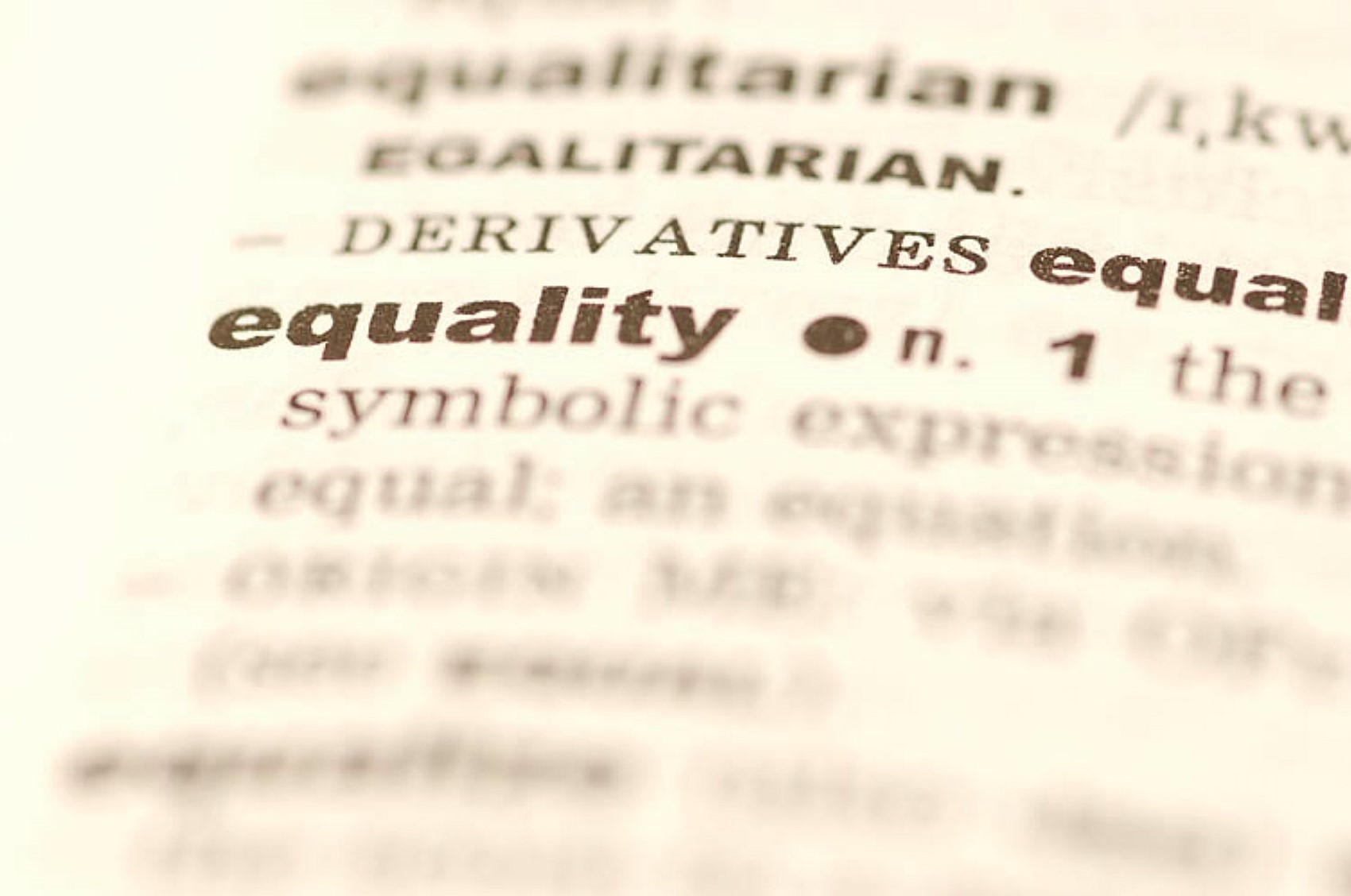 Dictionary definition of equality.jpg